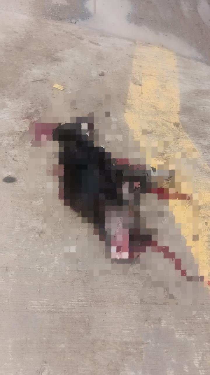 ⚠️ 🐾 DENUNCIA CIUDADANA 🐾⚠️